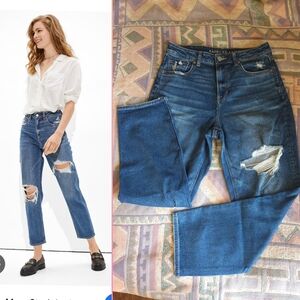 American Eagle Mom Straight Jeans Size 10 Regular